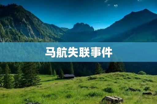 马航失联事件:永远的痛