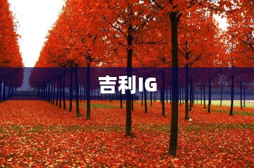 吉利IG：颠覆传统的智能豪华轿车