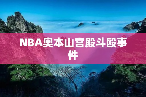 NBA奥本山宫殿斗殴事件:球场外的暴力引发关注 NBA奥本山宫殿斗殴事件:球场外的暴力引发关注