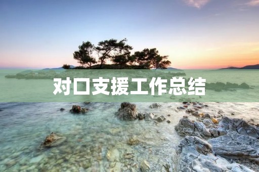 对口支援工作总结