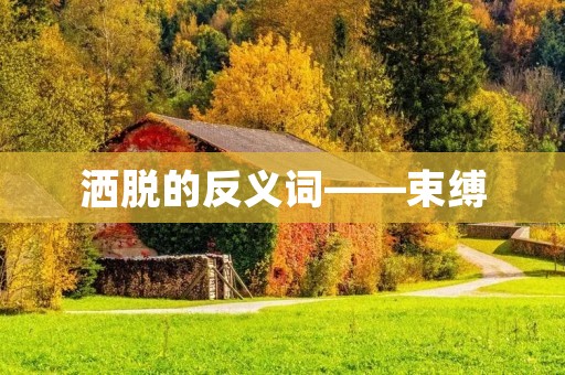 洒脱的反义词——束缚