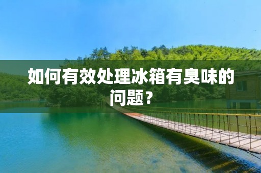 如何有效处理冰箱有臭味的问题? 如何有效处理冰箱有臭味的问题?