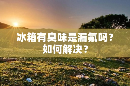冰箱有臭味是漏氟吗？如何解决？