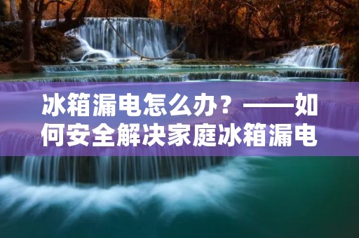 冰箱漏电怎么办？——如何安全解决家庭冰箱漏电问题