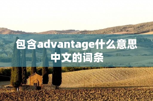 包含advantage什么意思中文的词条