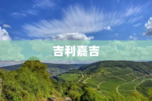 吉利嘉吉：中国汽车品牌的崛起