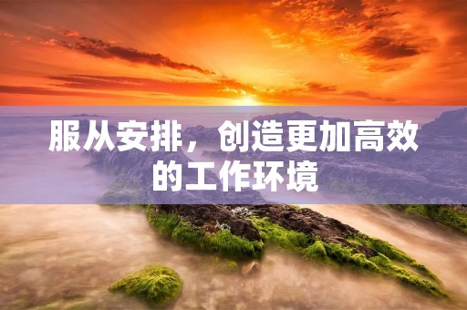 服从安排，创造更加高效的工作环境