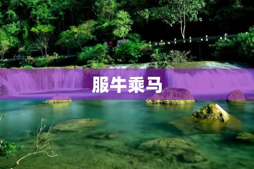 服牛乘马:传统文化中的荣耀 服牛乘马:传统文化中的荣耀