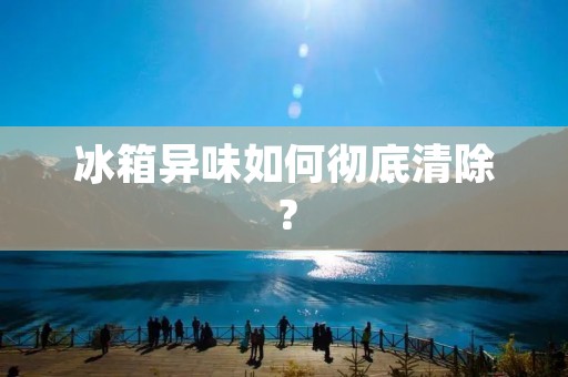 冰箱异味如何彻底清除？