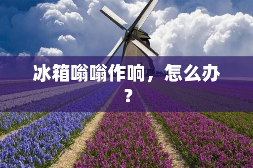 冰箱嗡嗡作响，怎么办？