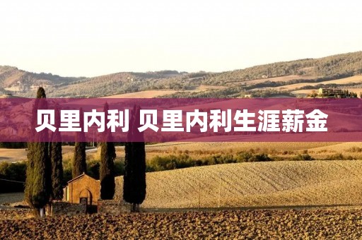 贝里内利 贝里内利生涯薪金