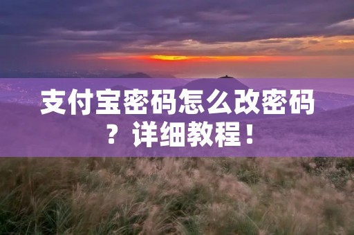 支付宝密码怎么改密码?详细教程! 支付宝密码怎么改密码?详细教程!