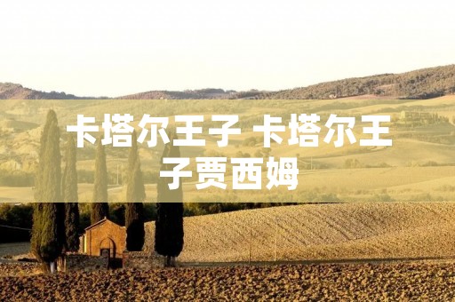 卡塔尔王子 卡塔尔王子贾西姆
