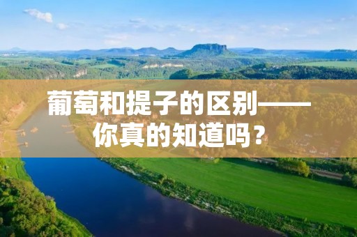 葡萄和提子的区别——你真的知道吗?
