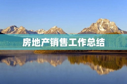 房地产销售工作总结