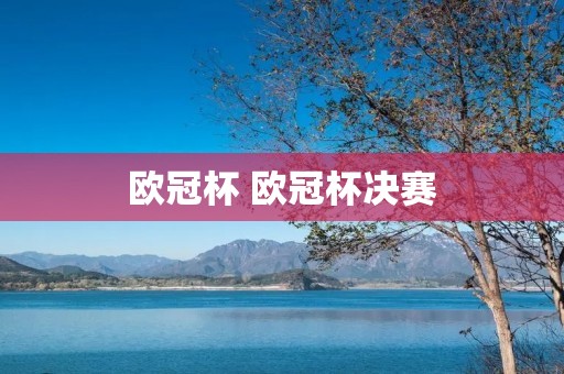 欧冠杯 欧冠杯决赛