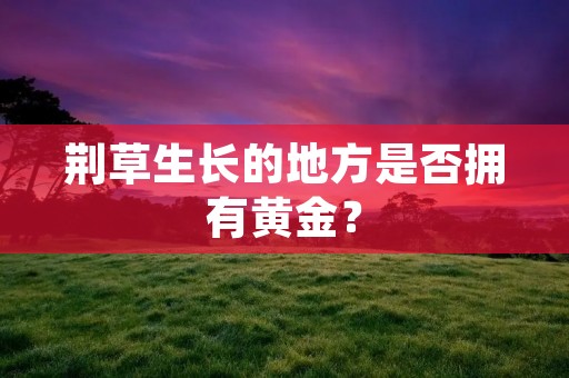 荆草生长的地方是否拥有黄金?
