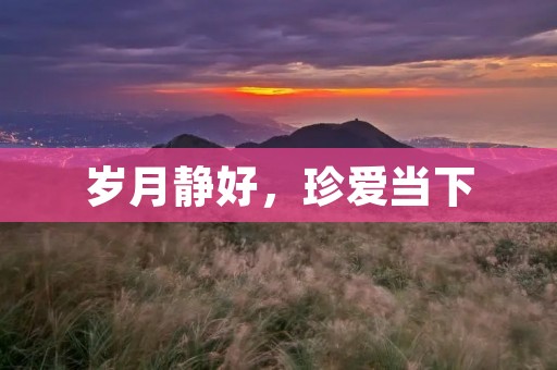 岁月静好，珍爱当下