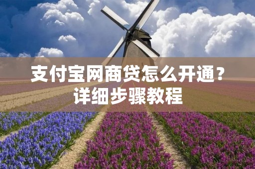 支付宝网商贷怎么开通?详细步骤教程 支付宝网商贷怎么开通?详细步骤教程