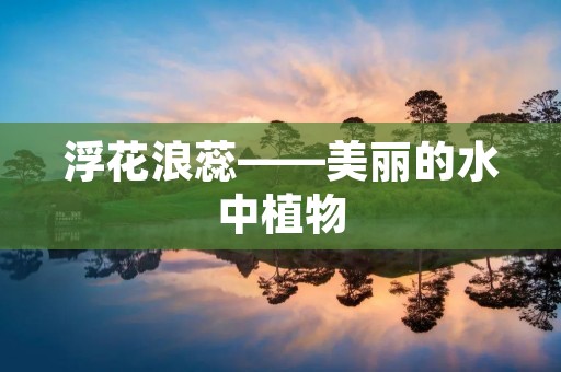 浮花浪蕊——美丽的水中植物