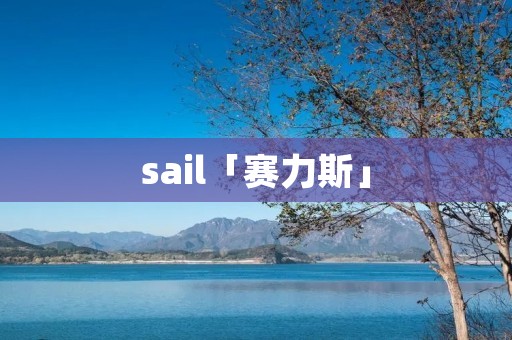 sail「赛力斯」