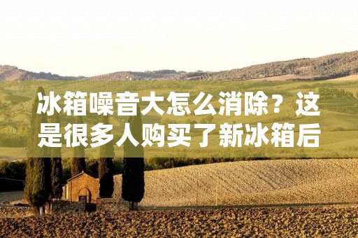 冰箱噪音大怎么消除？这是很多人购买了新冰箱后常常会遇到的问题。在家中，冰箱是一个非常重要的电器，但是如果冰箱噪音过大，不仅会影响生活质量，还可能影响睡眠和健康。因此，如何消除冰箱噪音成为了很多人关注的问题。下面，本文将为大家介绍几种消除冰箱噪音的方法。
