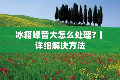冰箱噪音大怎么处理?| 详细解决方法 冰箱噪音大怎么处理?| 详细解决方法