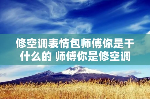 修空调表情包师傅你是干什么的 师傅你是修空调的吗 修空调表情包师傅你是干什么的 师傅你是修空调的吗