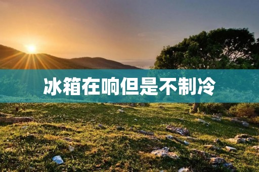 冰箱在响但是不制冷