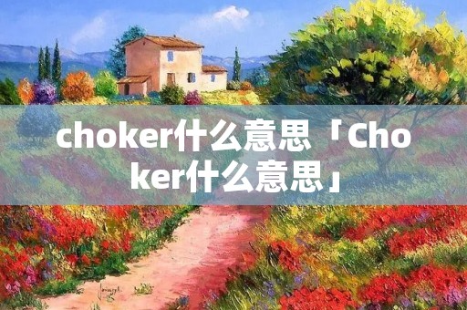 choker什么意思「Choker什么意思」