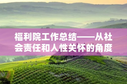 福利院工作总结——从社会责任和人性关怀的角度出发