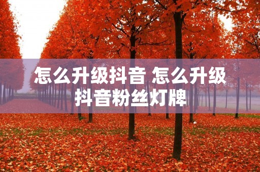 怎么升级抖音 怎么升级抖音粉丝灯牌 怎么升级抖音 怎么升级抖音粉丝灯牌