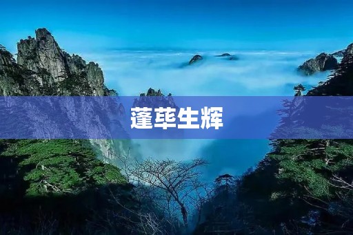 蓬荜生辉：如何让生活更有光彩