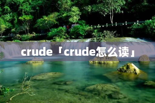 crude「crude怎么读」