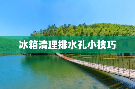 冰箱清理排水孔小技巧