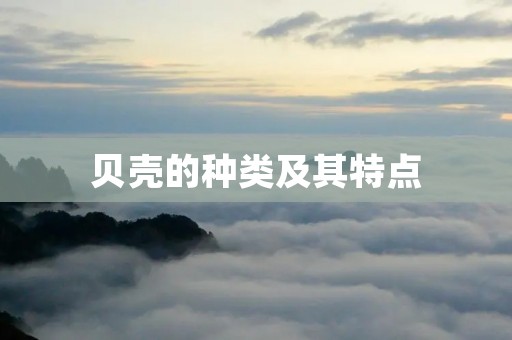 贝壳的种类及其特点