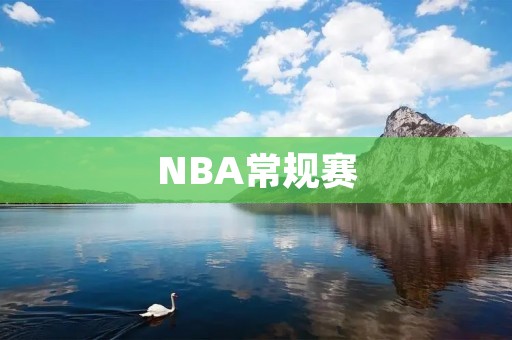 NBA常规赛：赛季的开端