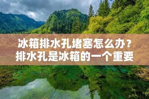 冰箱排水孔堵塞怎么办?排水孔是冰箱的一个重要部分,它能够排出冰箱内部的水分和冰霜,但是如果排水孔堵塞了,就会导致冰箱内部的水分无法排出,进而影响冰箱的正常使用。那么,怎样才能疏通冰箱的排水孔呢? 冰箱排水孔堵塞怎么办?排水孔是冰箱的一个重要部分,它能够排出冰箱内部的水分和冰霜,但是如果排水孔堵塞了,就会导致冰箱内部的水分无法排出,进而影响冰箱的正常使用。那么,怎样才能疏通冰箱的排水孔呢?