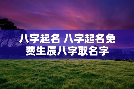 八字起名 八字起名免费生辰八字取名字