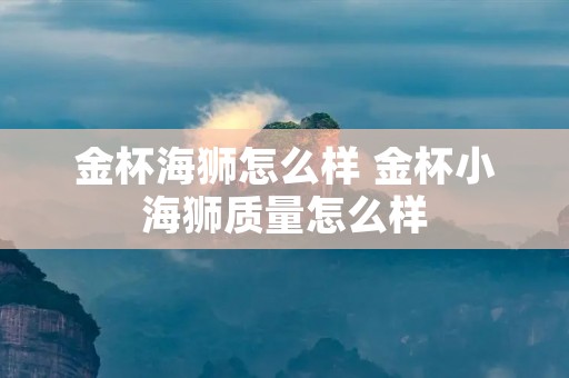 金杯海狮怎么样 金杯小海狮质量怎么样
