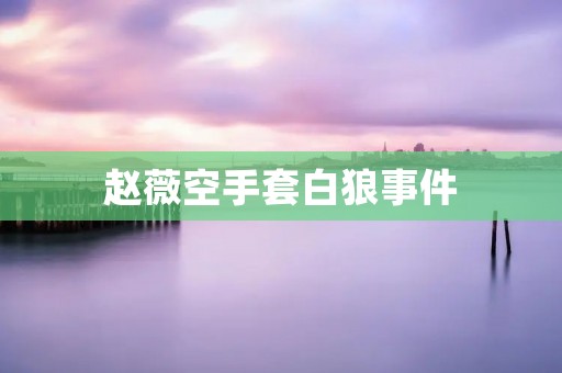 赵薇空手套白狼事件:一个“慈善”事件的真相揭露