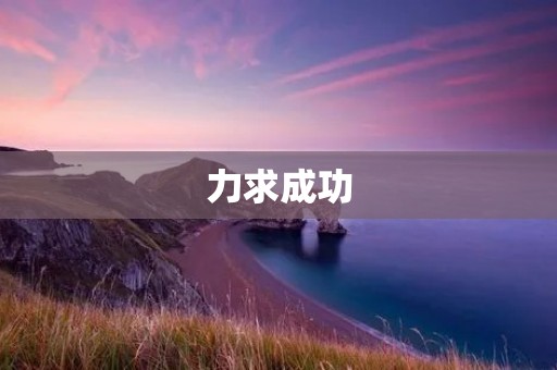 力求成功：探寻力字开头的成语
