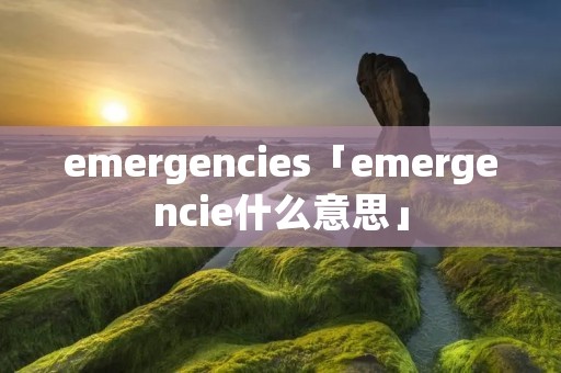 emergencies「emergencie什么意思」