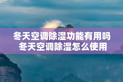 冬天空调除湿功能有用吗 冬天空调除湿怎么使用