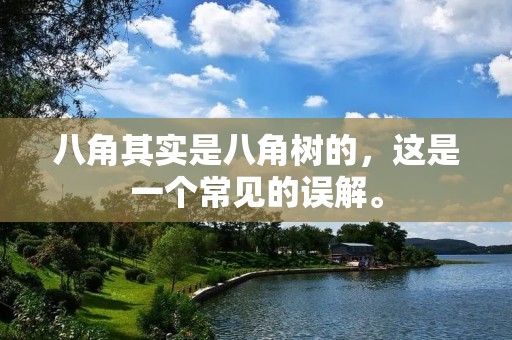 八角其实是八角树的,这是一个常见的误解。