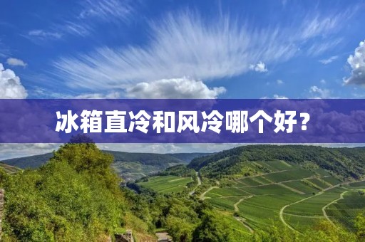 冰箱直冷和风冷哪个好？