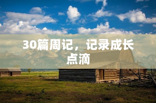 30篇周记，记录成长点滴