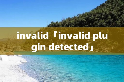 invalid「invalid plugin detected」