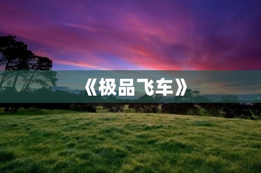《极品飞车》：**与速度的极致体验