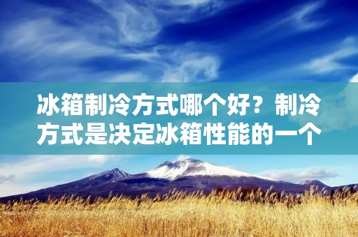 冰箱制冷方式哪个好？制冷方式是决定冰箱性能的一个重要因素。目前市场上常见的冰箱制冷方式有三种：直冷式、风冷式和无霜式。那么，这三种冰箱制冷方式各有什么优缺点呢？本文将从制冷原理、制冷效果、噪音、能耗、维护等方面详细介绍，帮助您选择适合自己的冰箱。